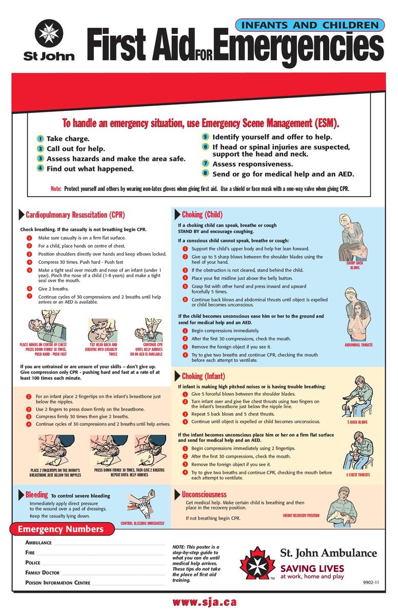 Adult Medical Emergency Quick Reference Chart Laminated Adult First Aid Quick Reference Guide Laminated Medical Emergency Chart By Permacharts Laminated Medical Guide First Aid Poster 10 Free PDF Printables Printablee
