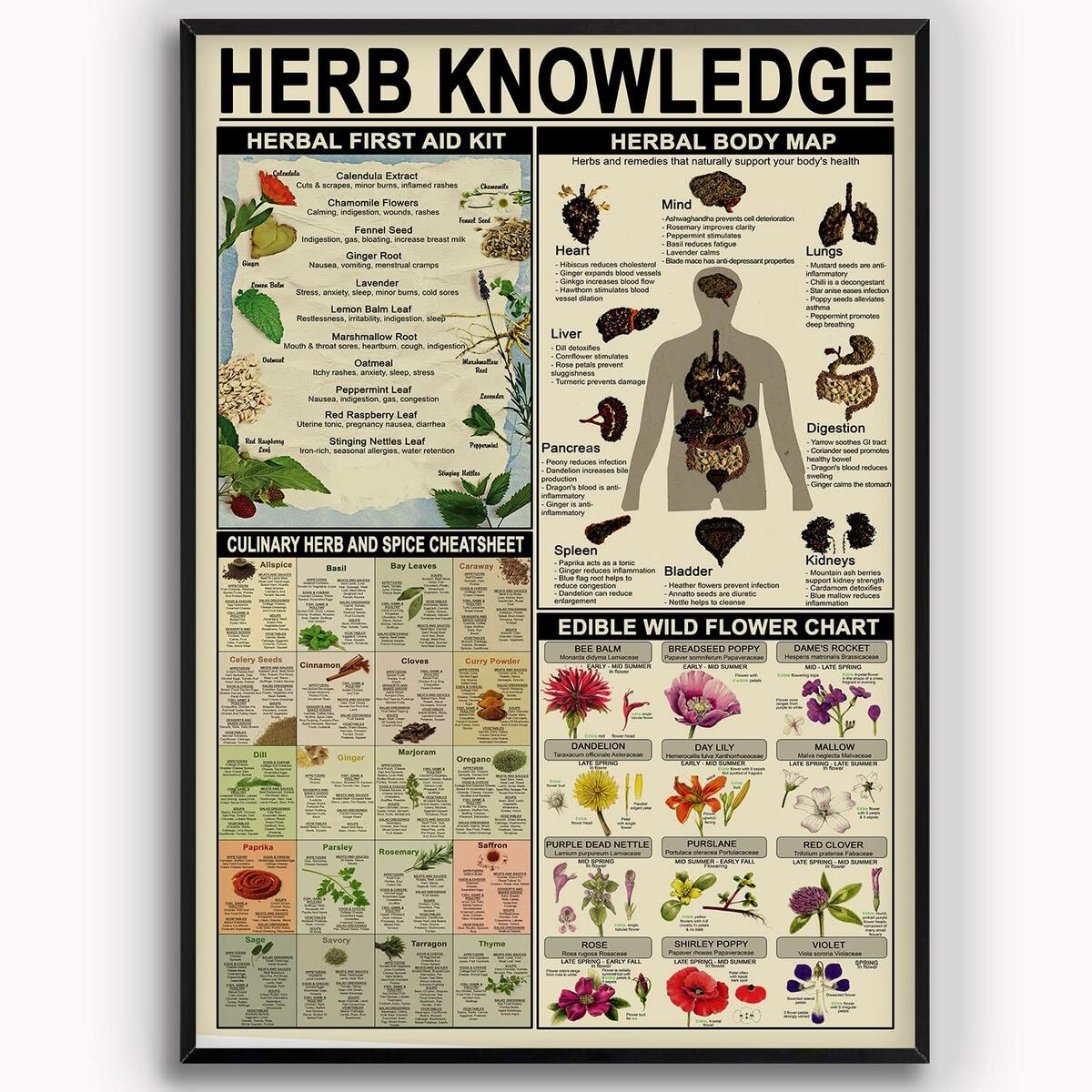 Amazon Herb Knowledge Metal Tin Signs Herbal First Aid Kit Infographic Poster Pharmacist Study Guide Tin Plaque Home Pharmacy Office Kitchen Wall Decor 8x12 Inches Posters Prints Amazon Herbs Spices Cheat Sheet Kitchen Wall Decor Infographic Spice Chart Poster Canvas Art Posters Home Bedroom Decor Room Aesthetics Decorative Paintings 08x12inch 20x30cm Posters Prints