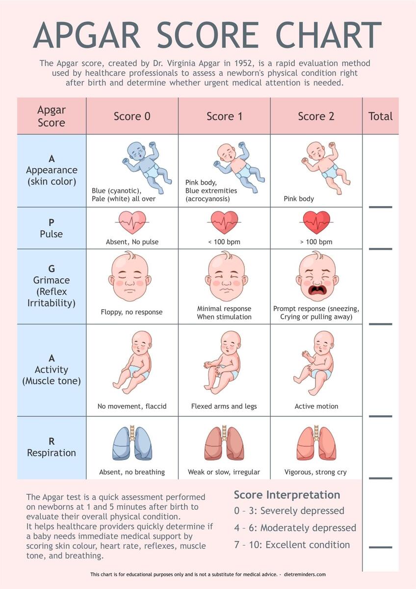 Apgar Score Chart Newborn Health Assessment Tool PDF Digital Download A4 Size Etsy UK APGAR Score Digital Download For Midwifery Notes Etsy
