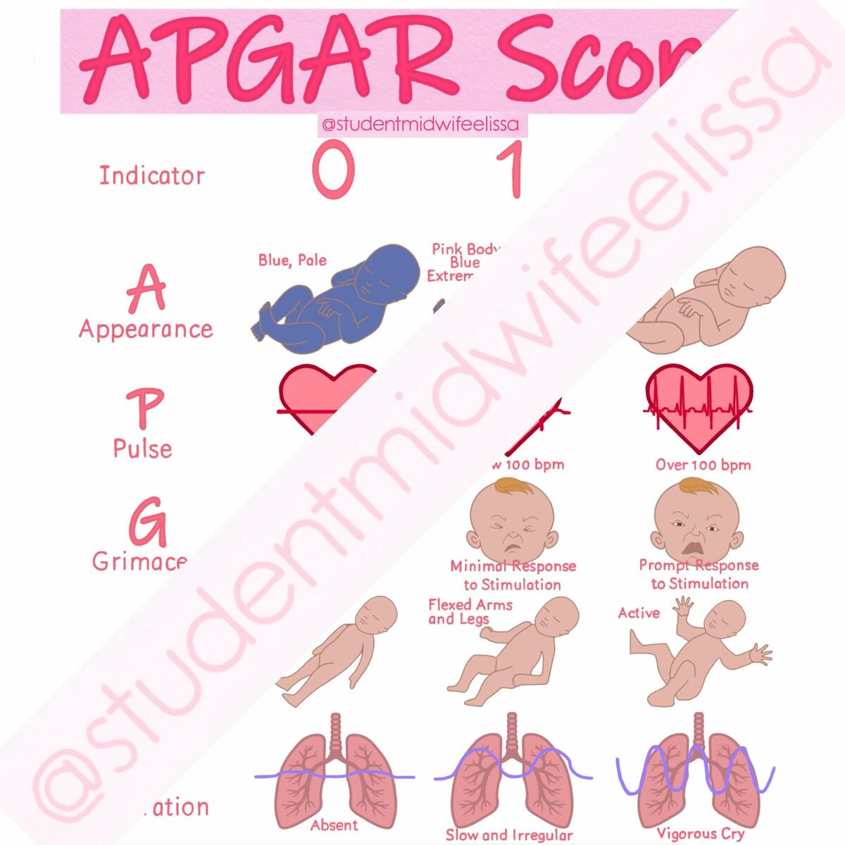 APGAR Score Digital Download For Midwifery Notes Etsy APGAR Score Digital Download For Midwifery Notes Etsy