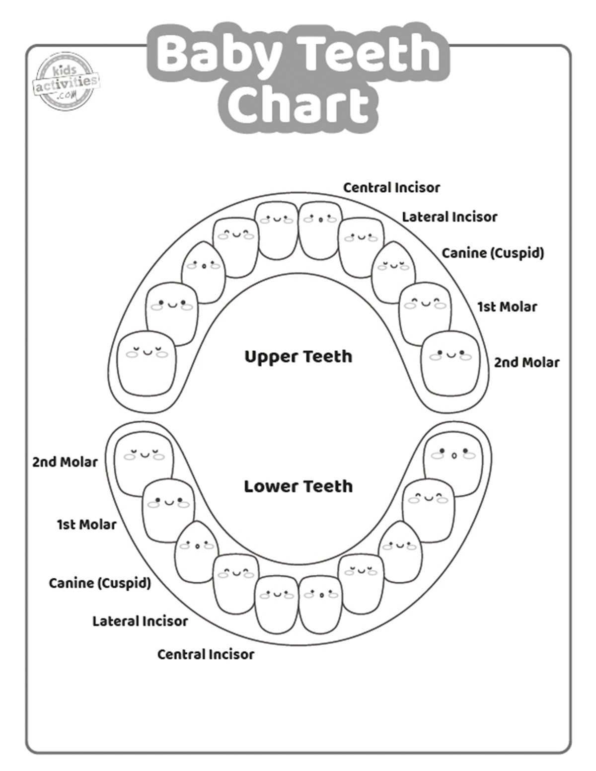 Tooth Chart Full Sheet 15 Free PDF Printables Printablee