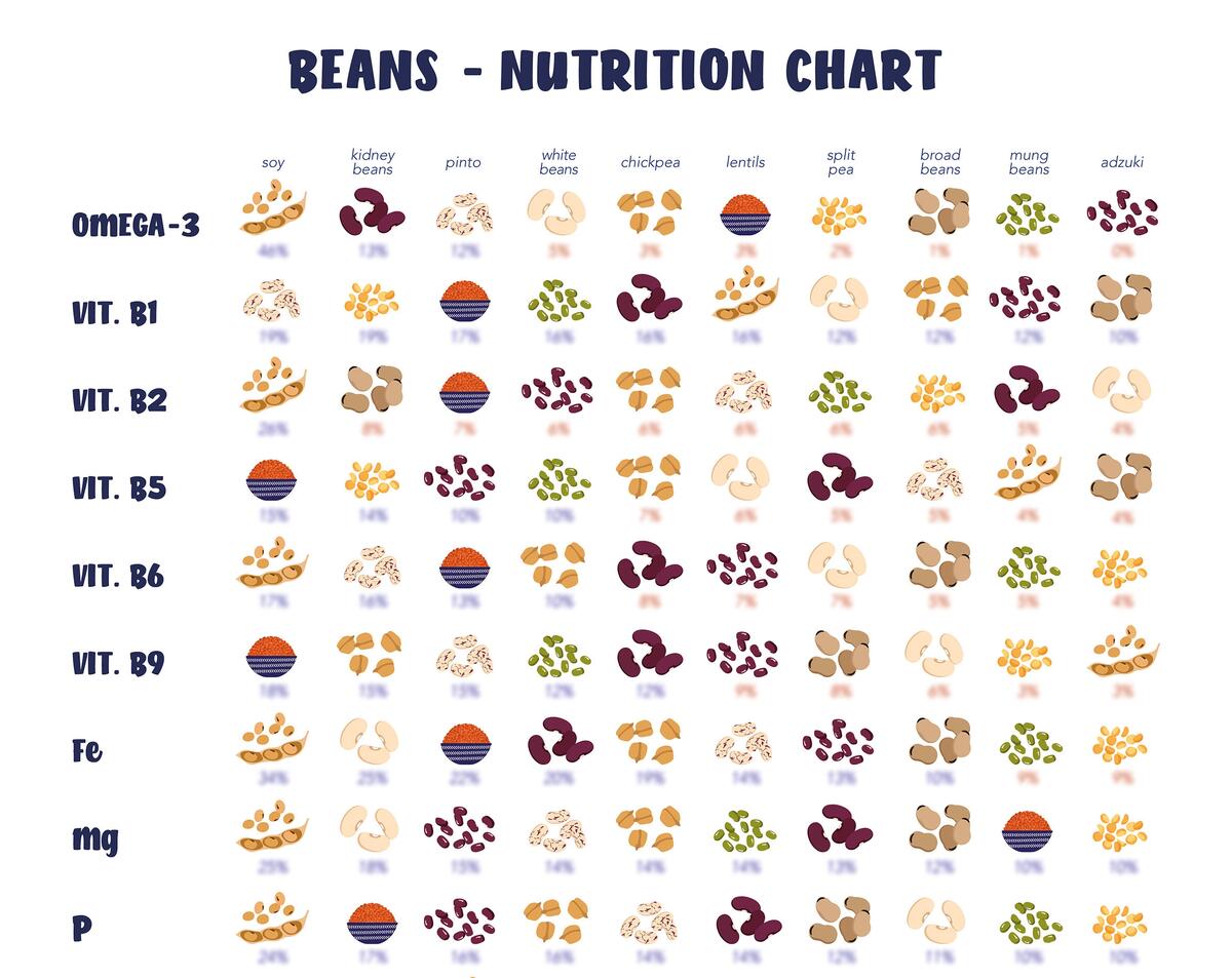 Beans Nutrition Chart Poster Vegan Protein Sources Digital Download Etsy Beans Nutrition Chart Poster Vegan Protein Sources Digital Download Etsy