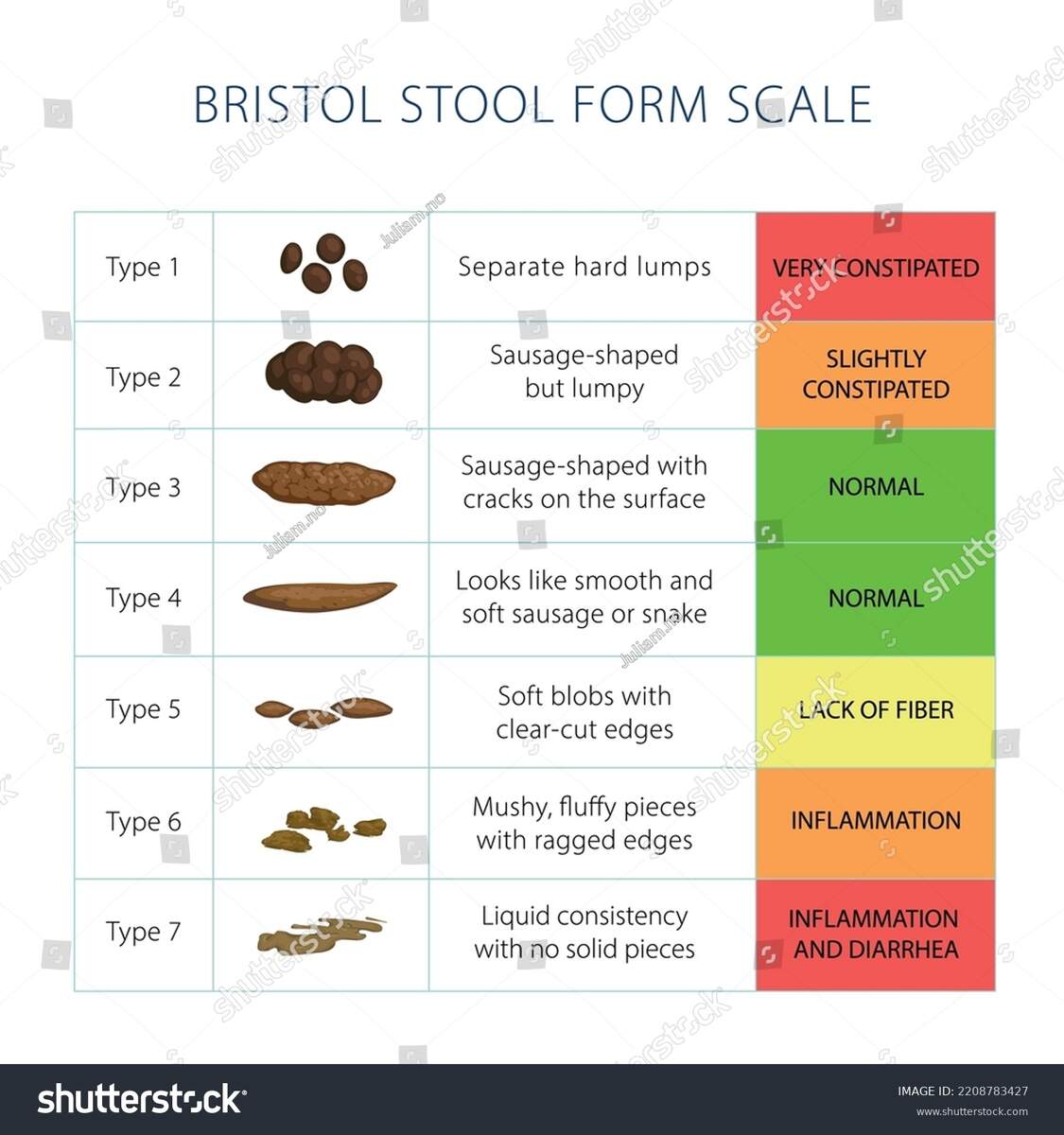 Bristol Stool Scale Table Medical Diagnostic Stock Vector Royalty Free 2208783427 Shutterstock Bristol Stool Chart PDF Gut Health Tracker A3 A4 A5 US Letter Etsy