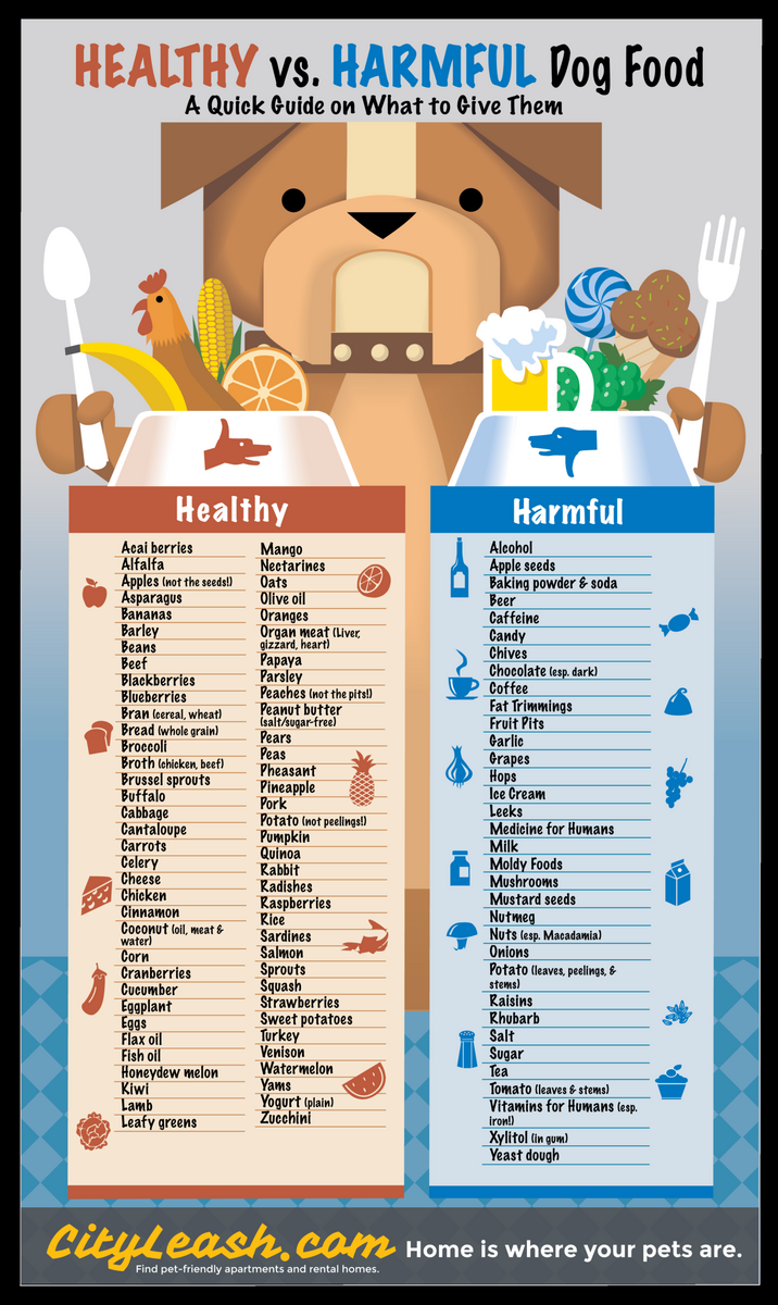 Chart What Foods Are Ok For Dogs To Eat Digital Download Dog Friendly Food Guide Poster