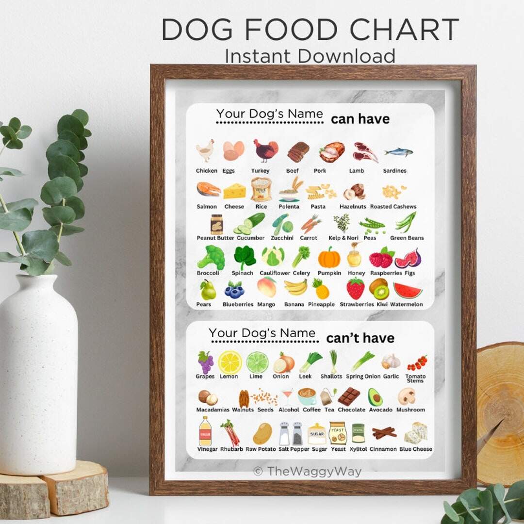 Chart What Human Food Can Dogs Have Chart People Food Ok For Dogs Chart Is It