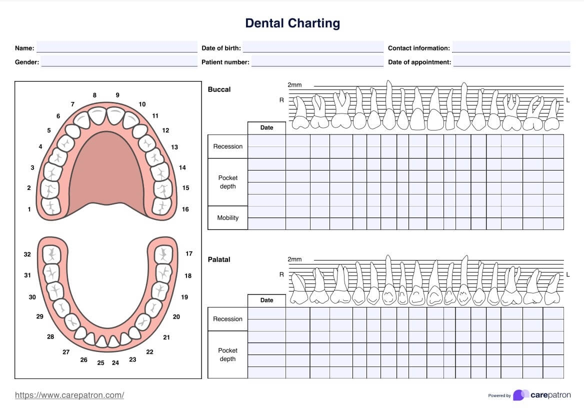 Dental Chart Dental Records Dental History Dentist Visit Notes Medical Chart Medical Planner Digital Download Etsy