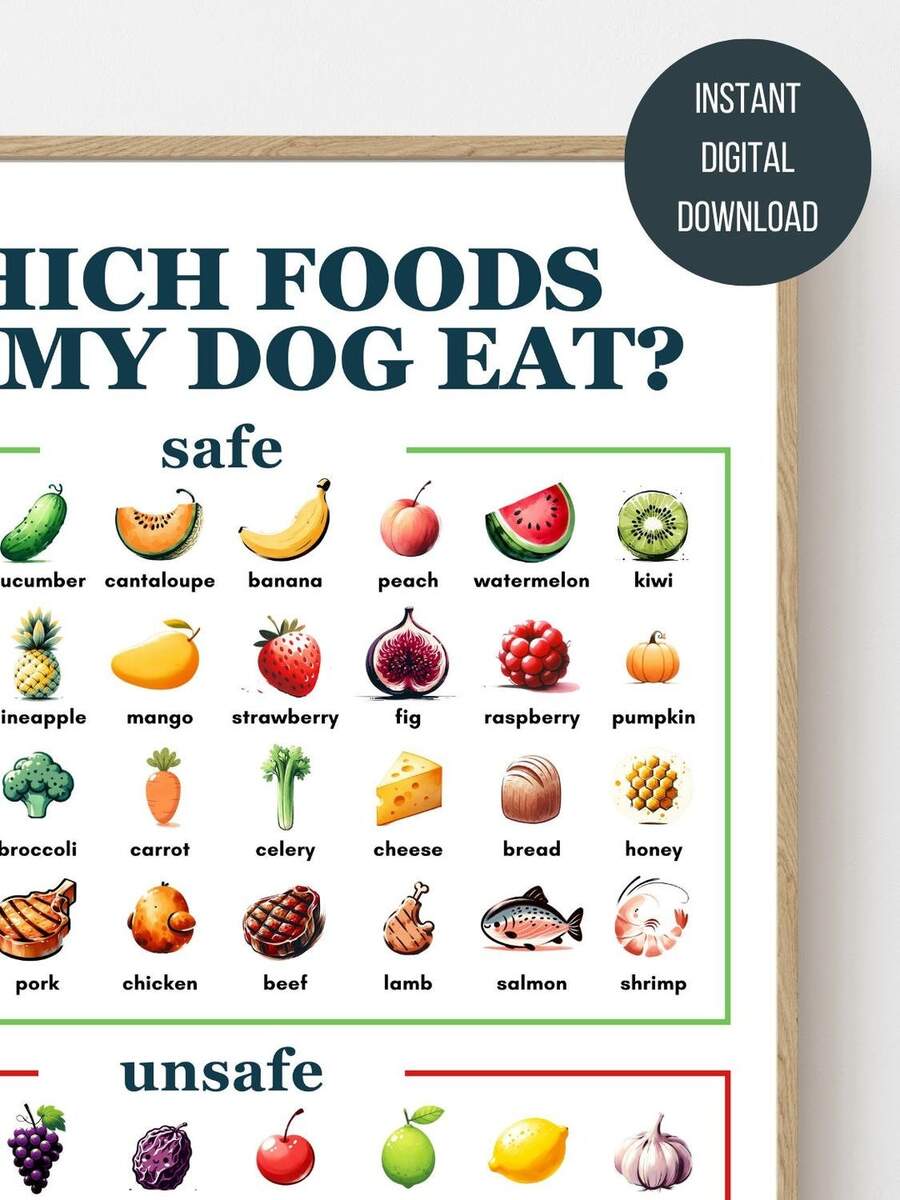 Digital Download Dog Friendly Food Guide Poster ink Brushed Version Printable Perfect For New Puppy Owners Children Vets Etsy