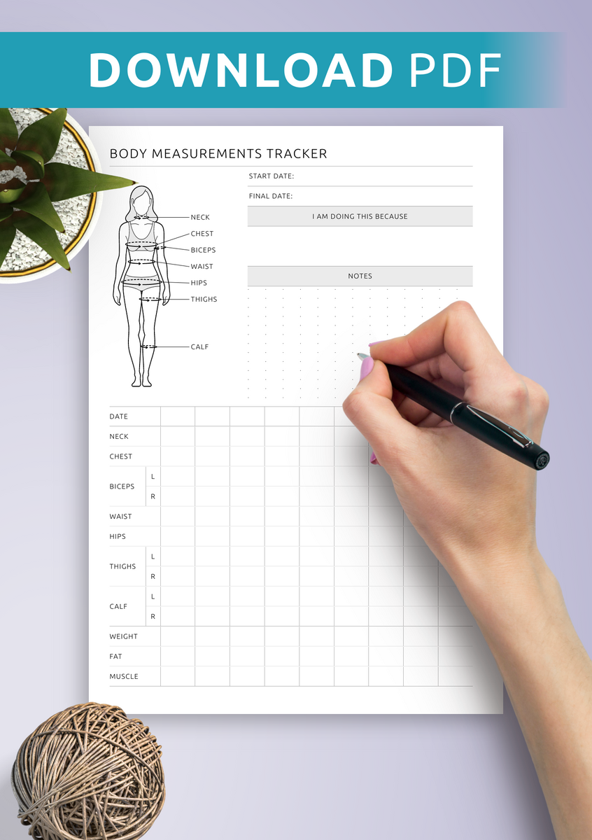 Download Printable Body Measurement Tracker Female PDF