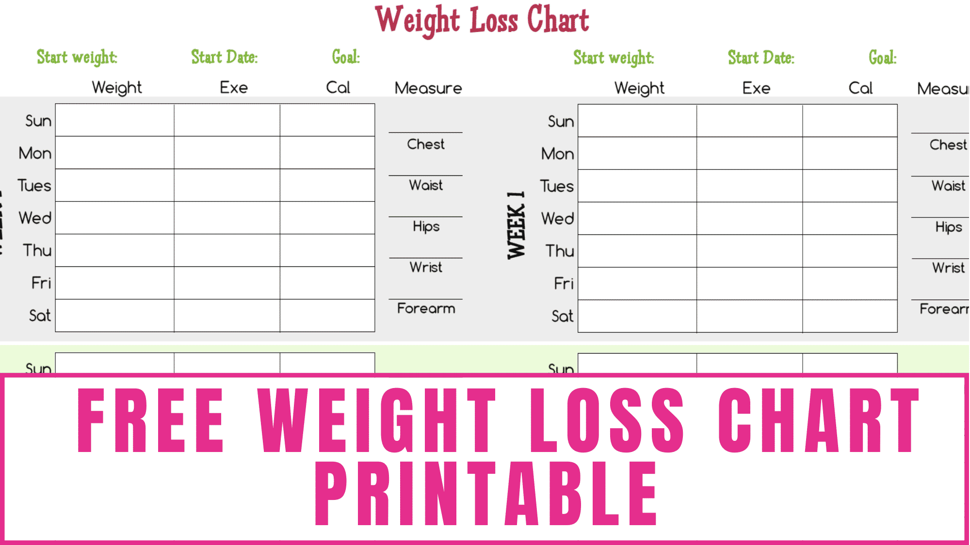 FREE Printable Weight Loss Tracker That Works Soph Obsessed