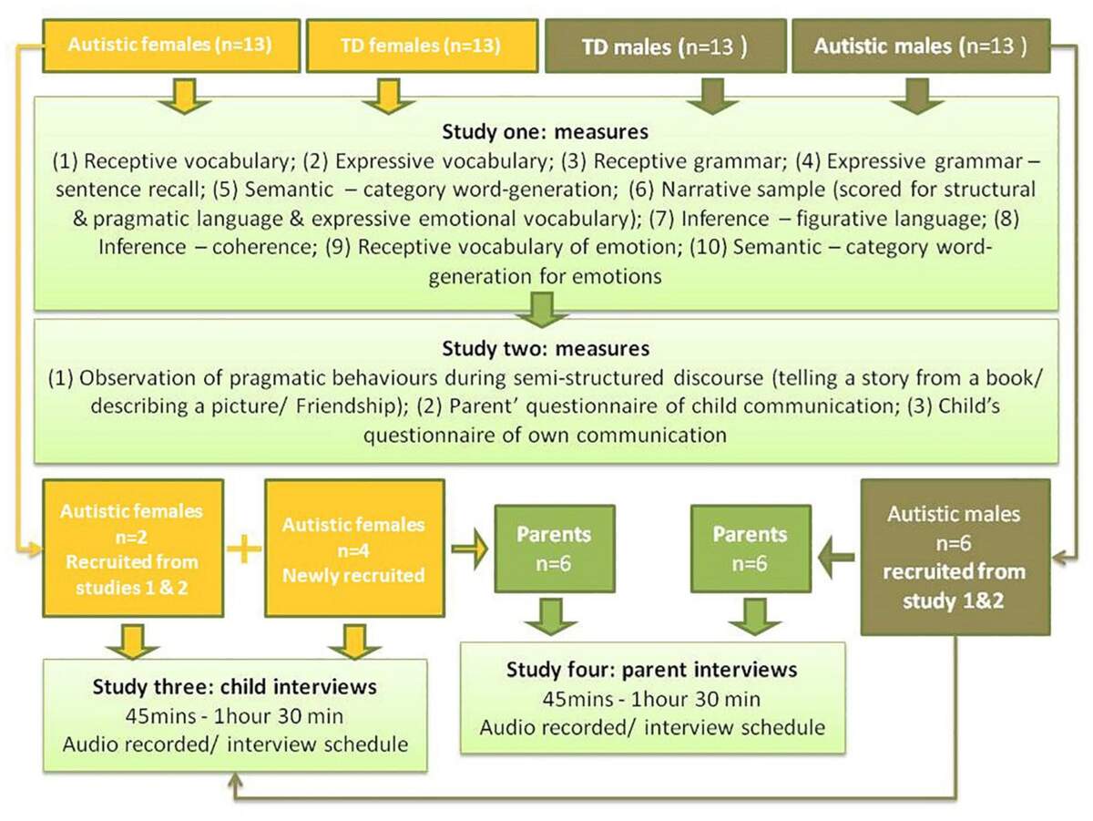 Frontiers A Subtle Profile With A Significant Impact Language And Communication Difficulties For Autistic Females Without Intellectual Disability