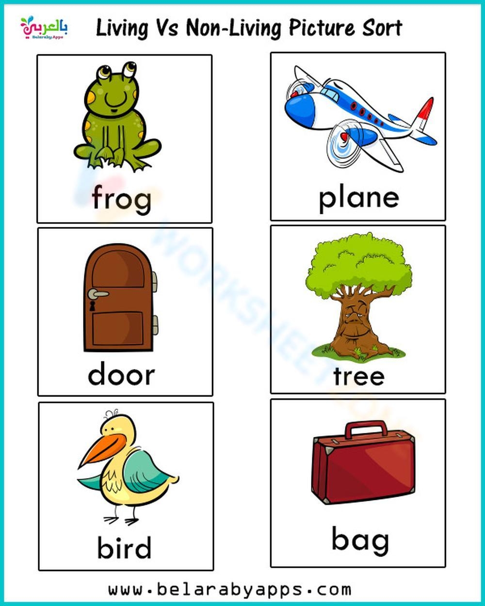 Grade 2 Living And Non Living Things Worksheets Printable
