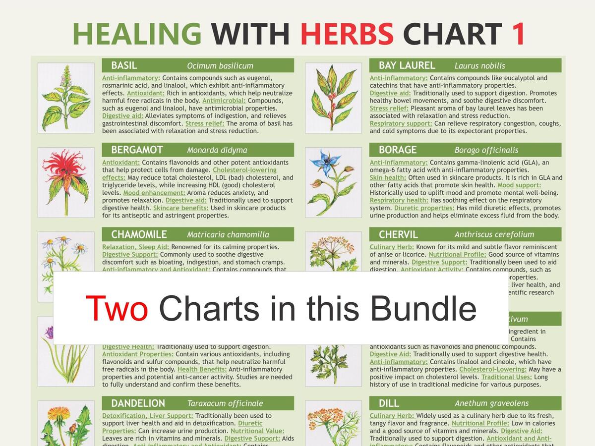 Medicinal Chart Etsy Medicinal Chart Etsy