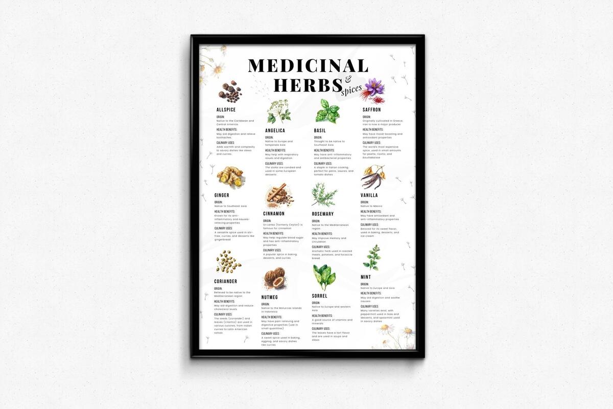 Medicinal Herbs Poster Spice Guide Herb Chart Kitchen Decor Culinary Herbs Spices Health Benefits Cooking With Herbs Gift For Health Nut Etsy Medicinal Herbs Poster Spice Guide Herb Chart Kitchen Decor Culinary Herbs Spices Health Benefits Cooking With Herbs Gift For Health Nut Etsy