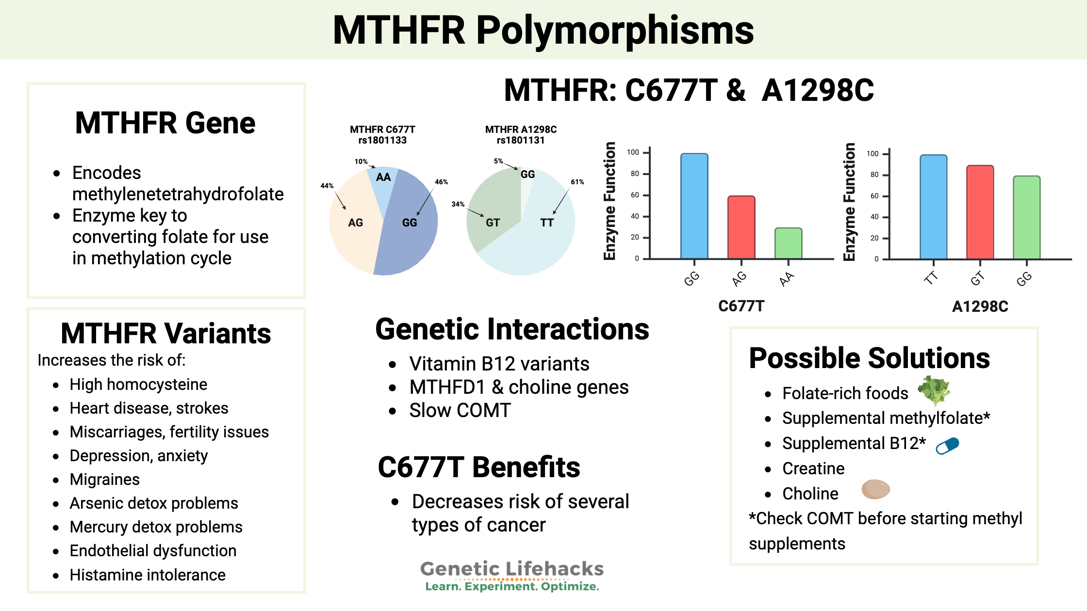 MTHFR Mutation What Is It How To Check Your Raw Data MTHFR Mutation What Is It How To Check Your Raw Data