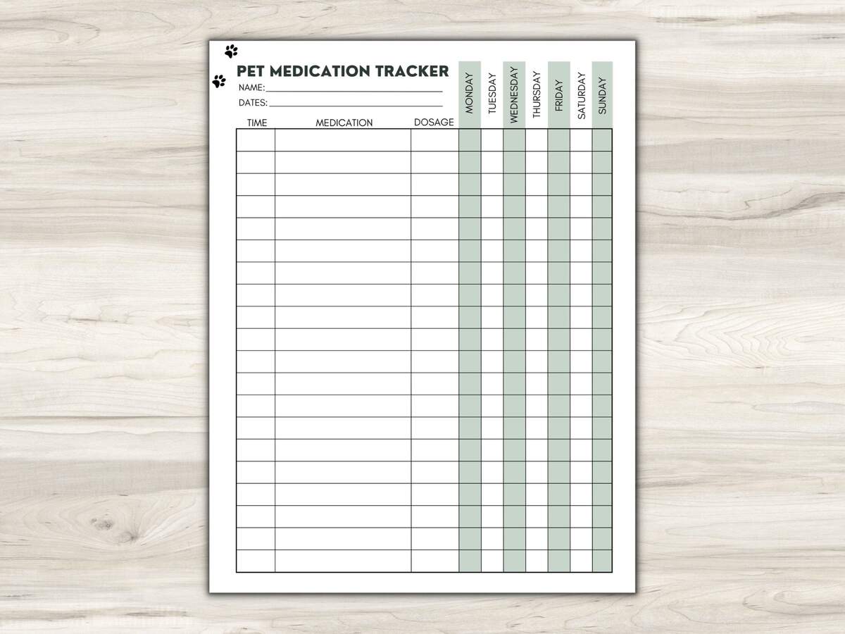 Pet Medication Etsy