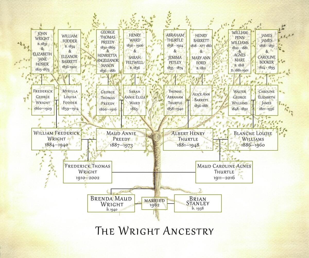 Editable Genealogy Chart Paternal Family Line Printable Family Chart Genealogy Pedigree 7 Generations Family Tree Chart Genealogy Organizer Etsy