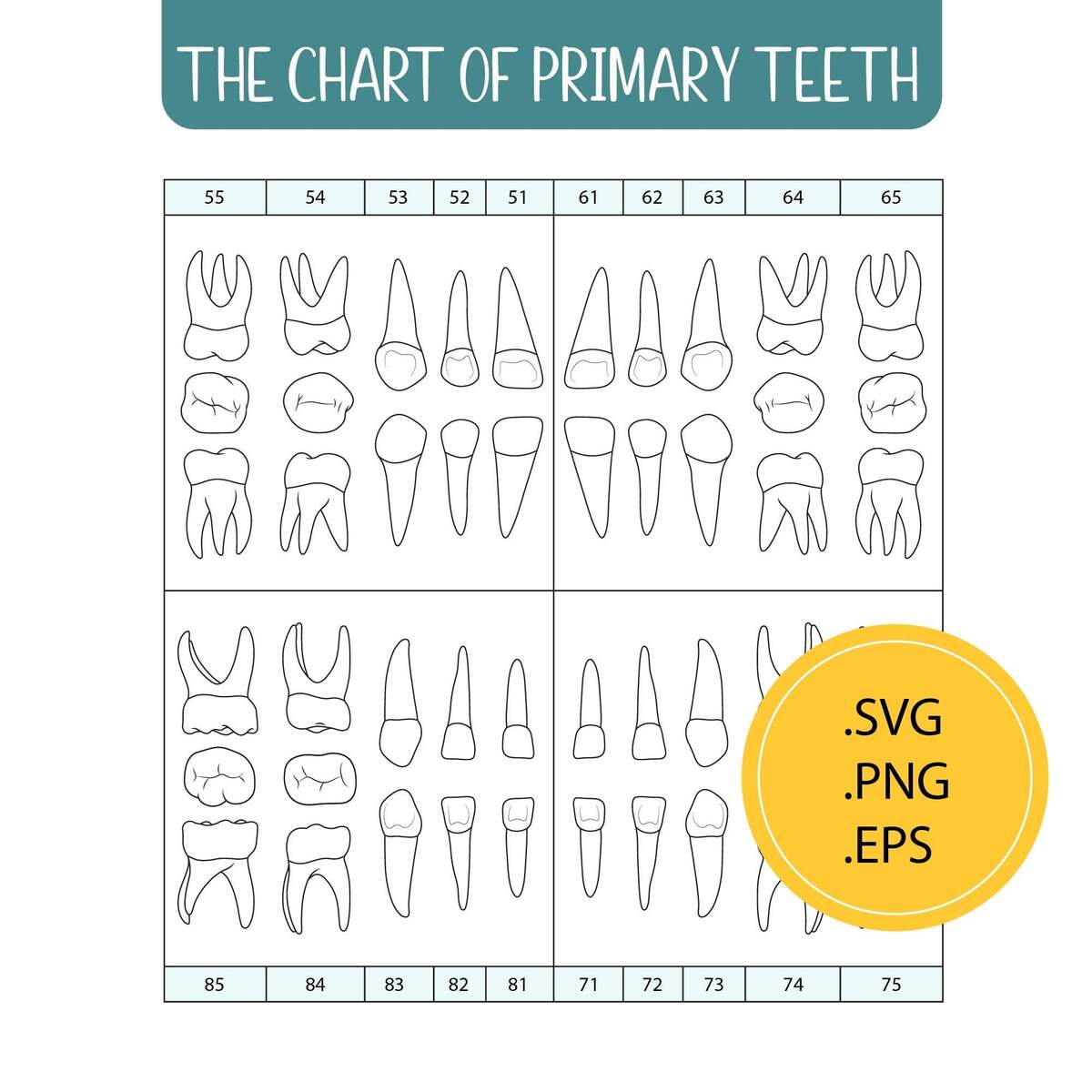 Teeth Color Chart Etsy Australia