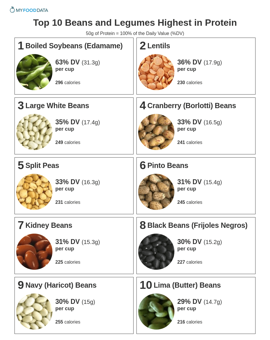 Top 10 Beans And Legumes Highest In Protein Beans Nutrition Chart Poster Vegan Protein Sources Digital Download Etsy