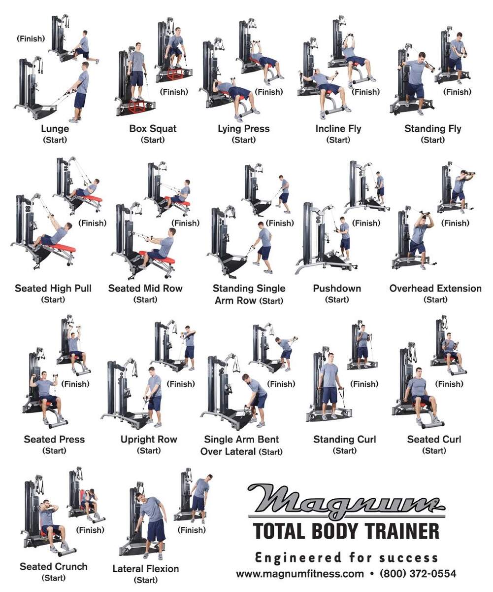 Total Gym Weider Ultimate Body Works Sliding Bench Jamaica Ubuy