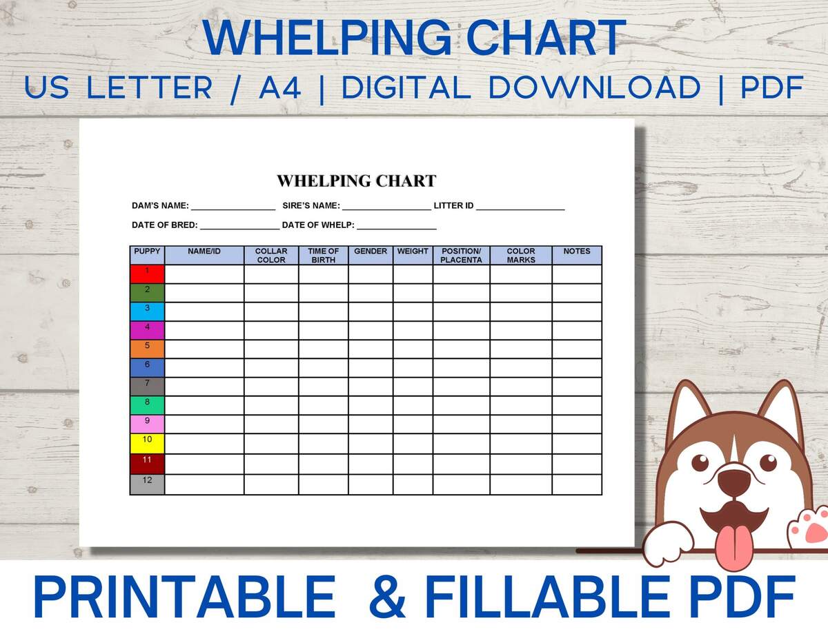 Whelping Chart Editable Whelping Record Puppy Whelping Breeder Forms Printable PDF Instant Download Etsy Puppy Whelping Chart PDF Printable Instant Download