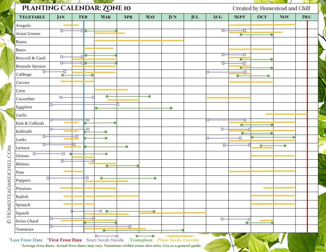When To Start Seeds Indoors Planting Calendars For Every Zone Homestead And Chill Companion Planting Chart Growin Crazy Acres