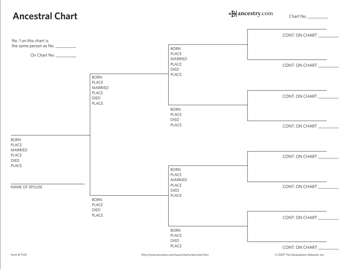 30 Editable Family Tree Templates 100 Free TemplateArchive