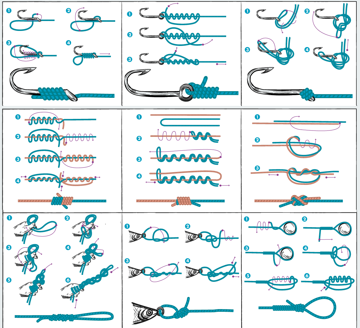 Fishing Knots The Professional Fishing Guide Infographic Bass Pro Shops