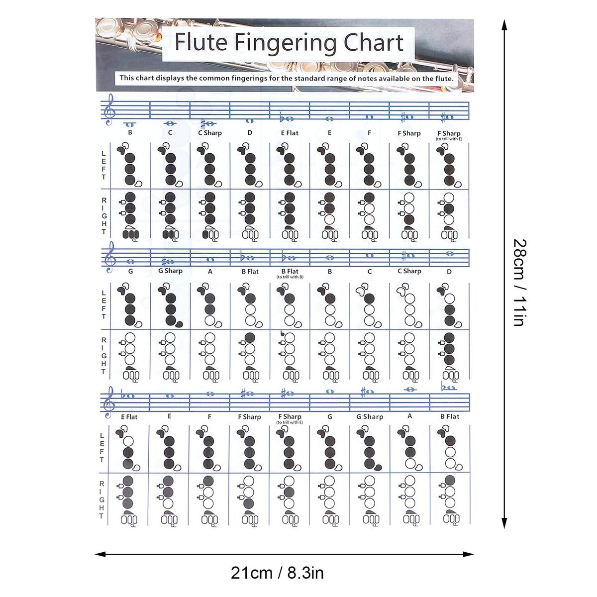Amazon Flute Fingering Chart Full Size Large Print Beginner Friendly Includes Notes Scales And Basic Fingering For Teacher Band Small 28x21cm Musical Instruments