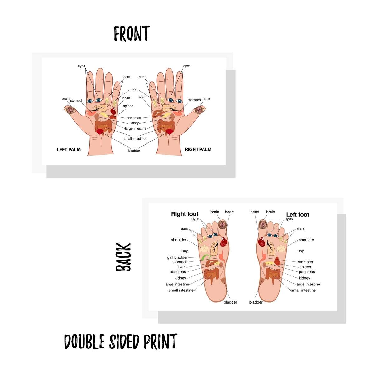 31 Printable Foot Reflexology Charts Maps TemplateLab