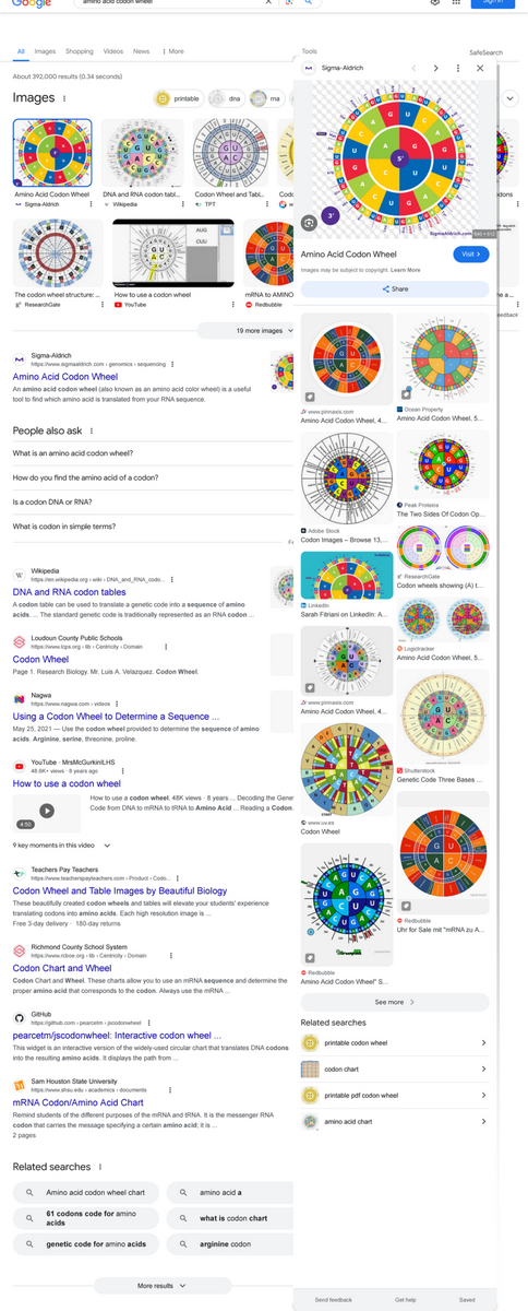 Amino Acid Codon Wheel Overview And Usage Guide Studocu