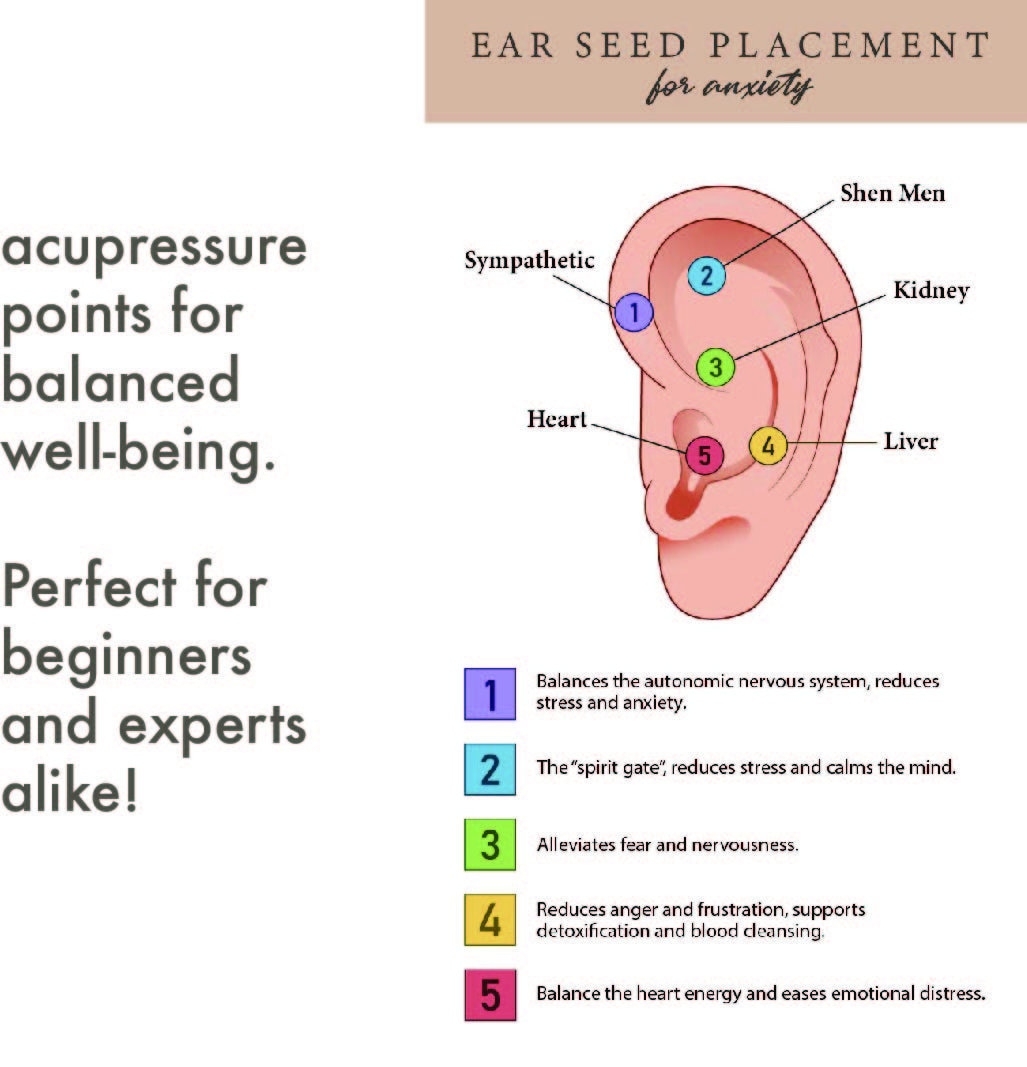 Anxiety Ear Seed Placement Chart Comprehensive Acupuncture Ear Chart Guide Ear Seeding Chart Helps Place Ear Seeds Cheat Sheet Etsy Ear Seeds Placement Chart