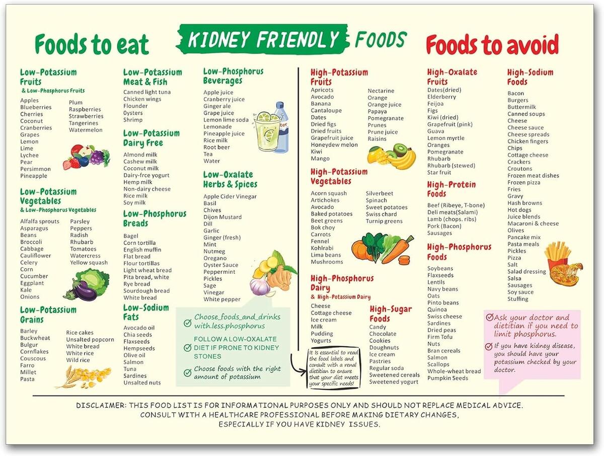 AVOI Printable Renal Diet Food Chart Canvas Poster Kidney Awareness Diet Plan For Beginners Low Potassium Foods List Grocery Guide Kidney Friendly Printable Wall Art Unframe 24x16inch 60x40cm Walmart