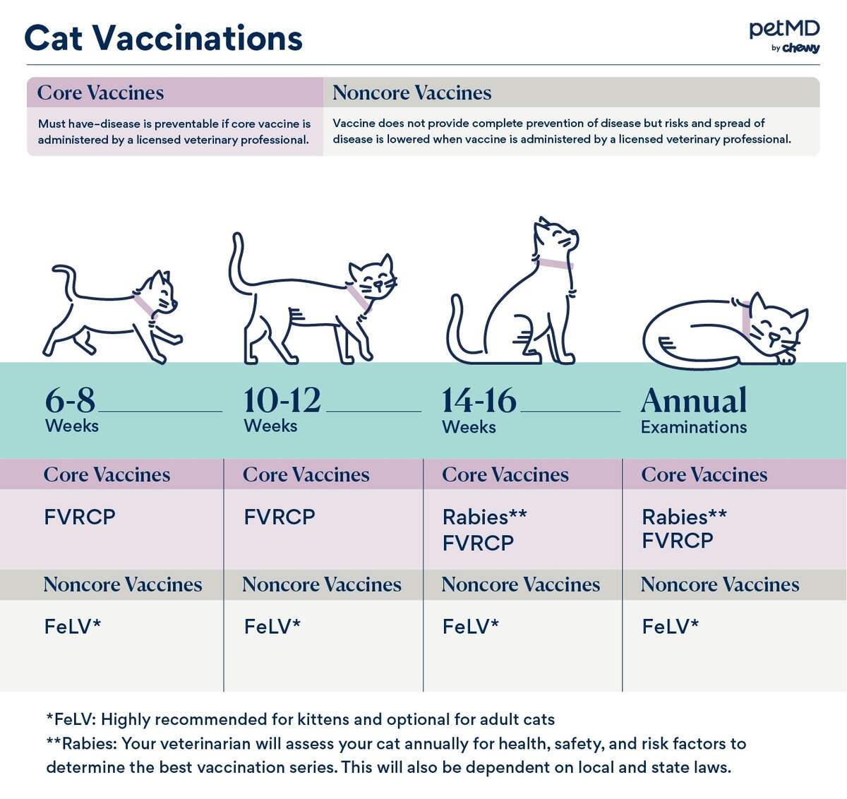 Best Important Vaccines For Cats Outlet Best Important Vaccines For Cats Outlet