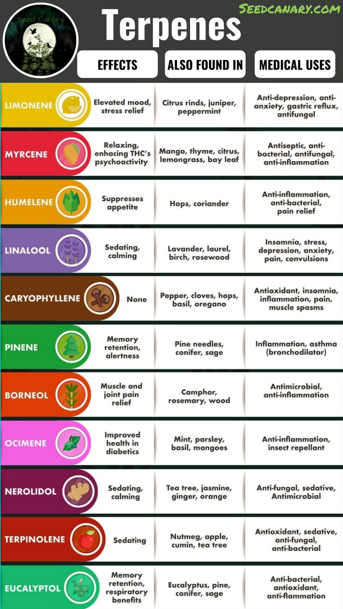 Cannabis Derived Terpenes Explained