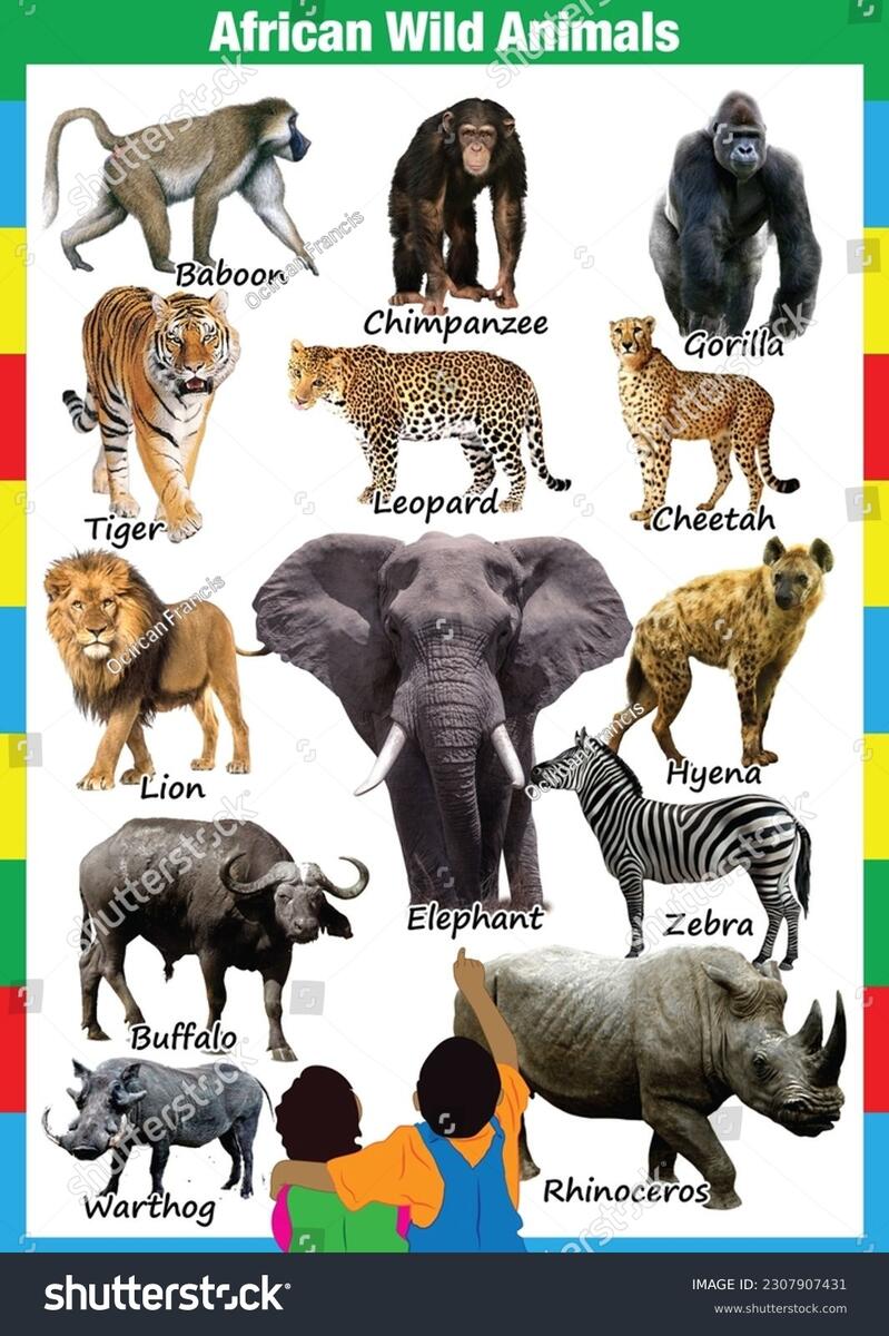 3d Rendered Illustration Farm Animal Chart Stock Illustration 389138695 Shutterstock