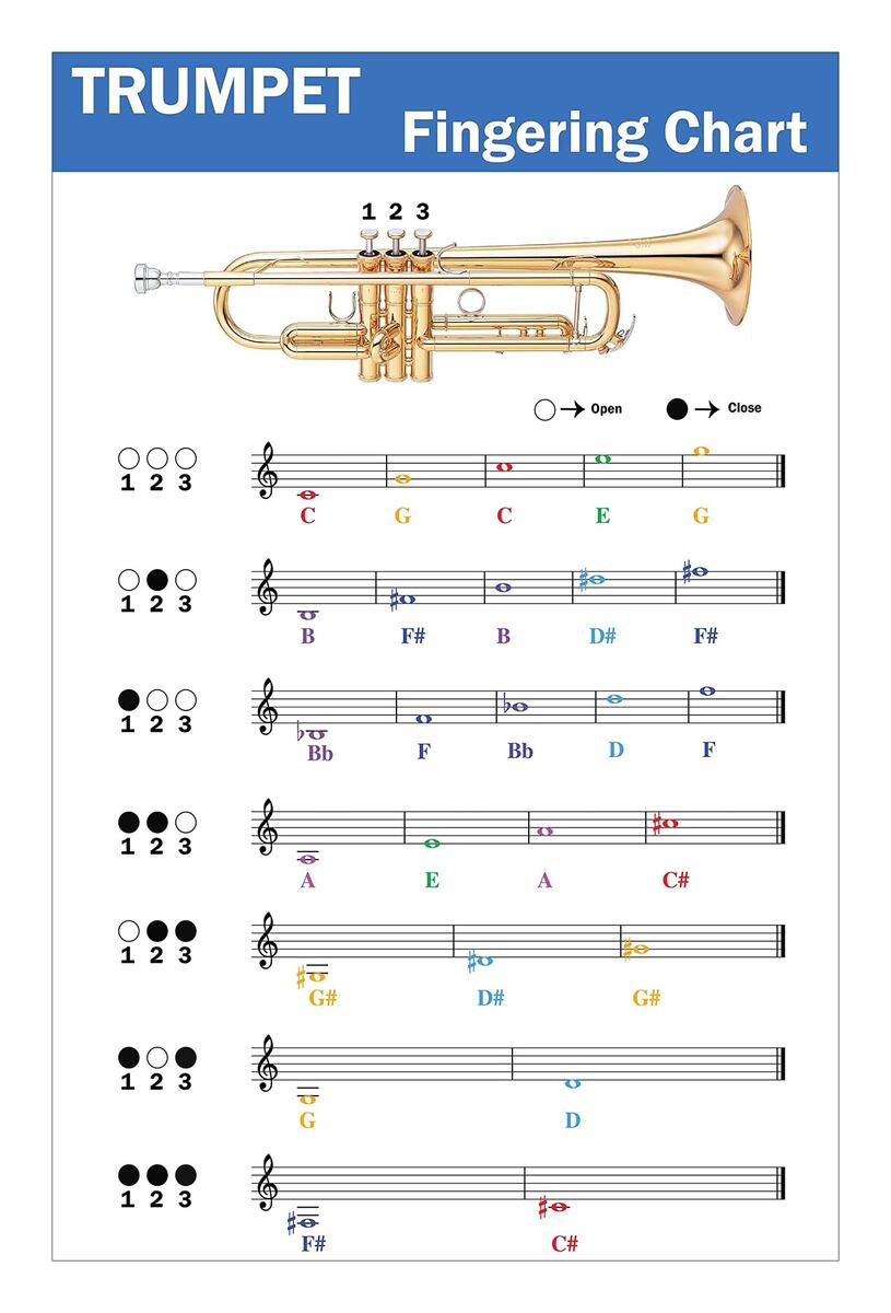 Clarinet Finger Chart Sioweci Trumpet Fingering Chart Clear Illustration Waterproof Refreshing Color Trumpet Music Chord Poster For Beginner L Music Classroom Posters