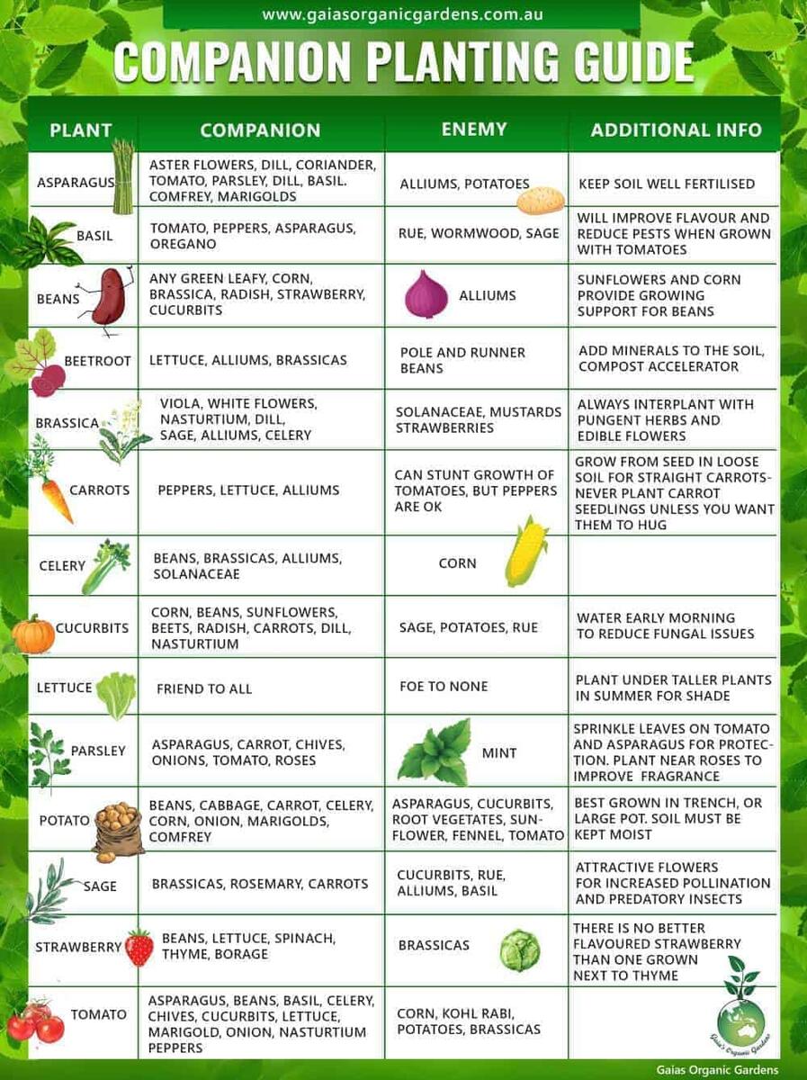 Collection Of Companion Planting Charts Guides And PDFs World Water Reserve Collection Of Companion Planting Charts Guides And PDFs World Water Reserve