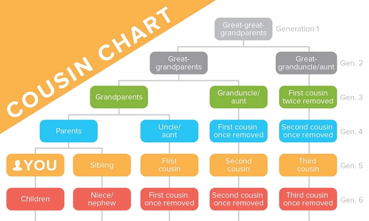 Cousin Chart Family Relationships Explained Genealogy Cousin Family Tree EdrawMax Template