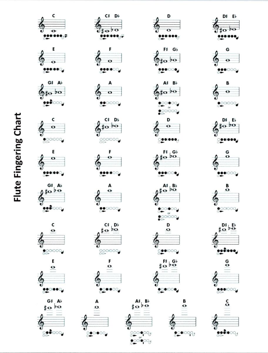 Digital Flute Fingering Chart For Beginners To Advanced Etsy New Zealand Digital Flute Fingering Chart For Beginners To Advanced Etsy New Zealand