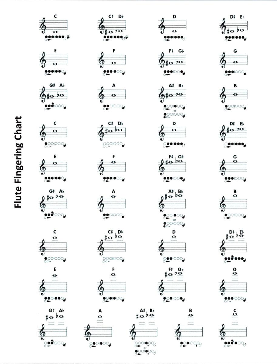 Digital Flute Fingering Chart For Beginners To Advanced Etsy New Zealand Digital Flute Fingering Chart For Beginners To Advanced Etsy New Zealand