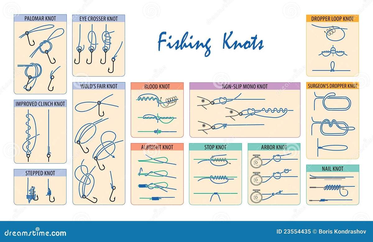 Fishing Knots Stock Vector Illustration Of Hobby Chart 23554435