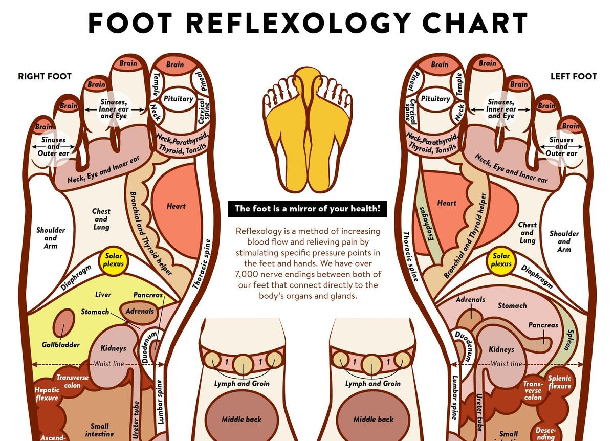 Foot Acupressure And Reflexology Chart PRINTABLE INSTANT DOWNLOAD Massage Technique Labeled Foot Map Information Chart Poster Wall Art Etsy