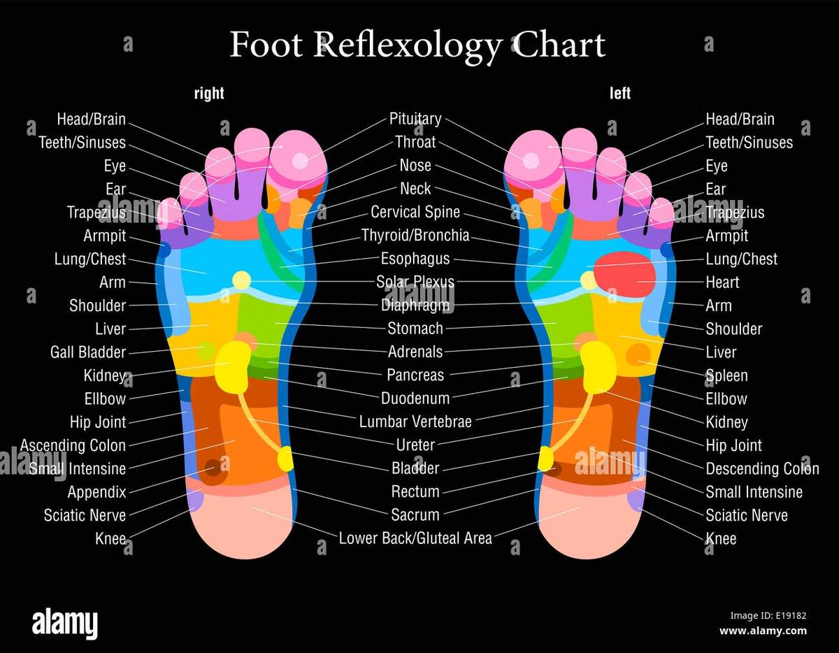 Foot Reflexology Chart With Accurate Description Of The Corresponding Internal Organs And Body Parts Stock Photo Alamy Foot Reflexology Chart With Accurate Description Of The Corresponding Internal Organs And Body Parts Stock Photo Alamy