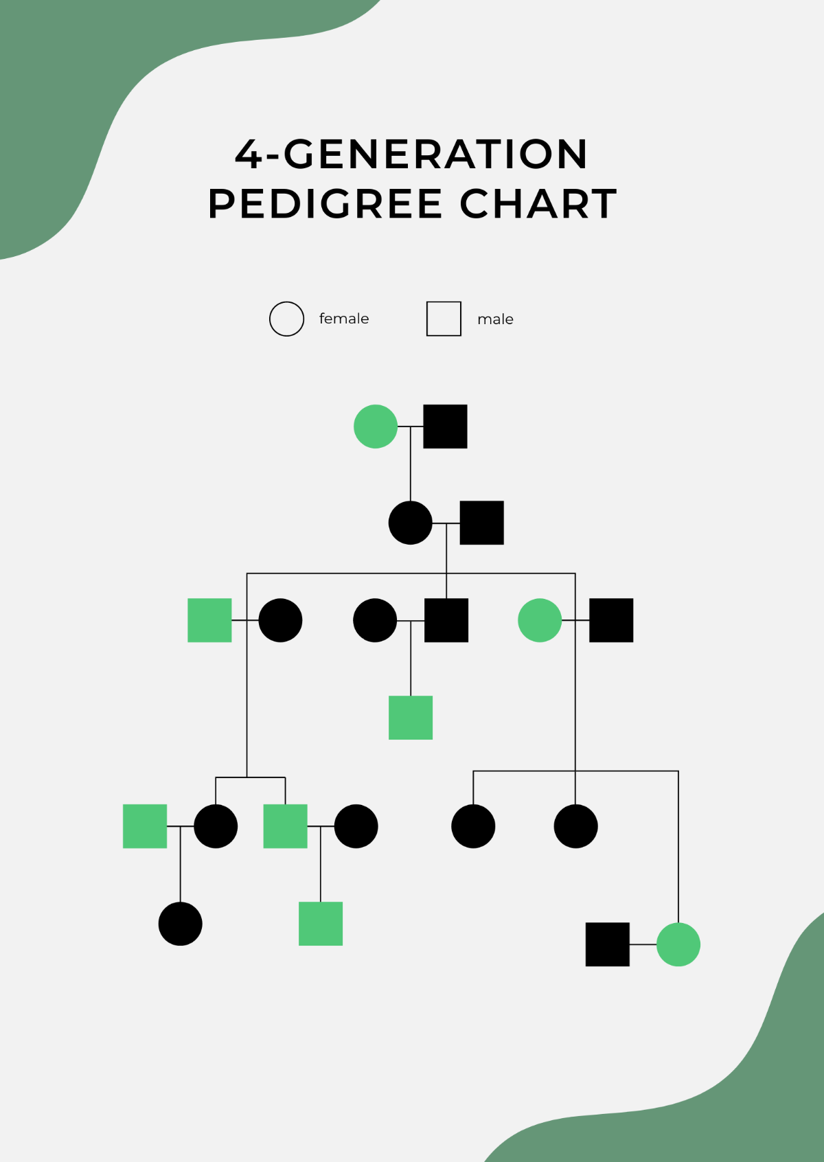 Free 4 Generation Pedigree Chart Template To Edit Online