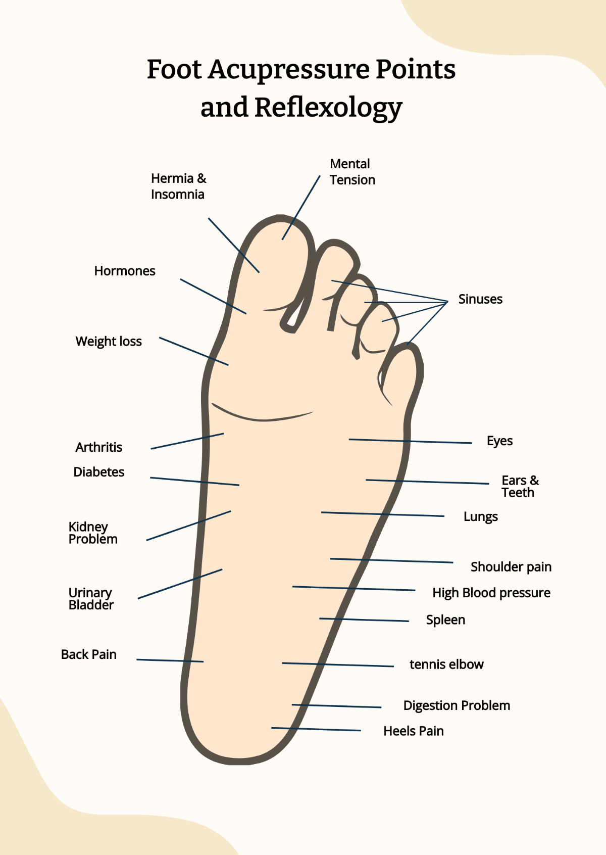 Free Foot Acupressure And Reflexology Chart Template To Edit Online