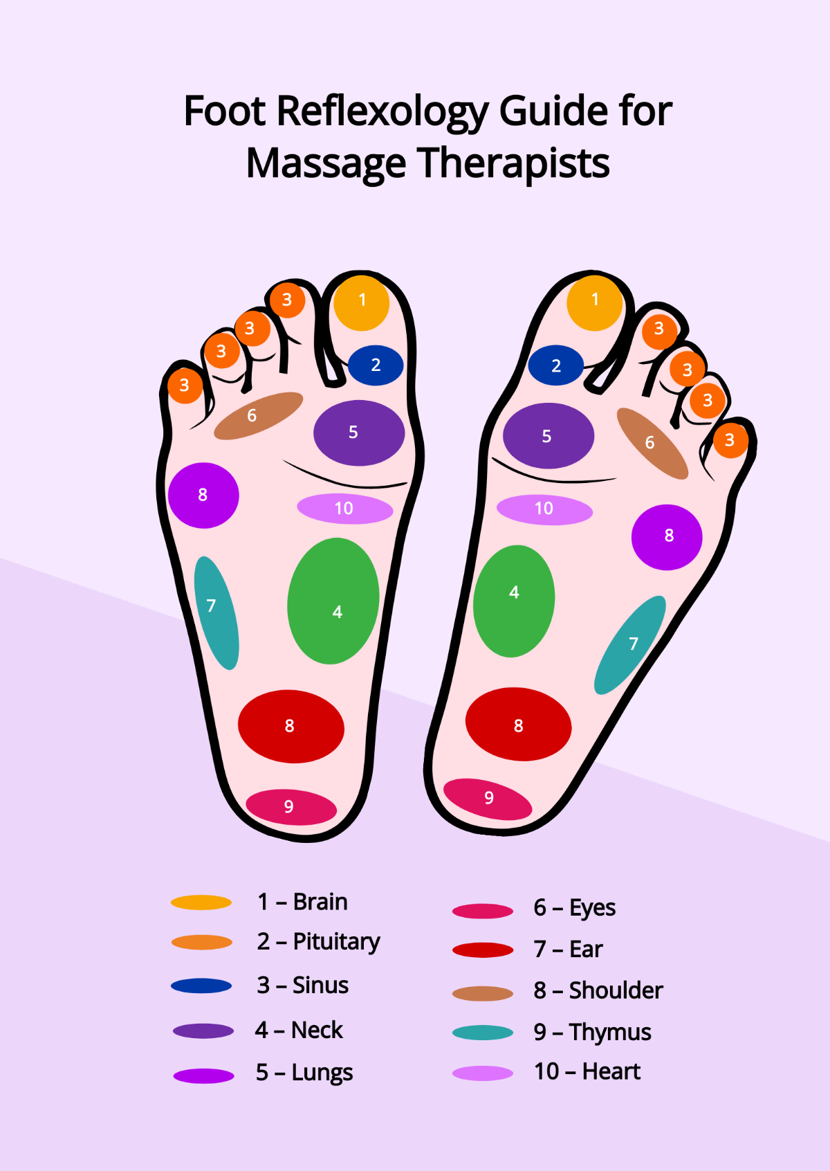 Free Female Foot Reflexology Chart Template To Edit Online