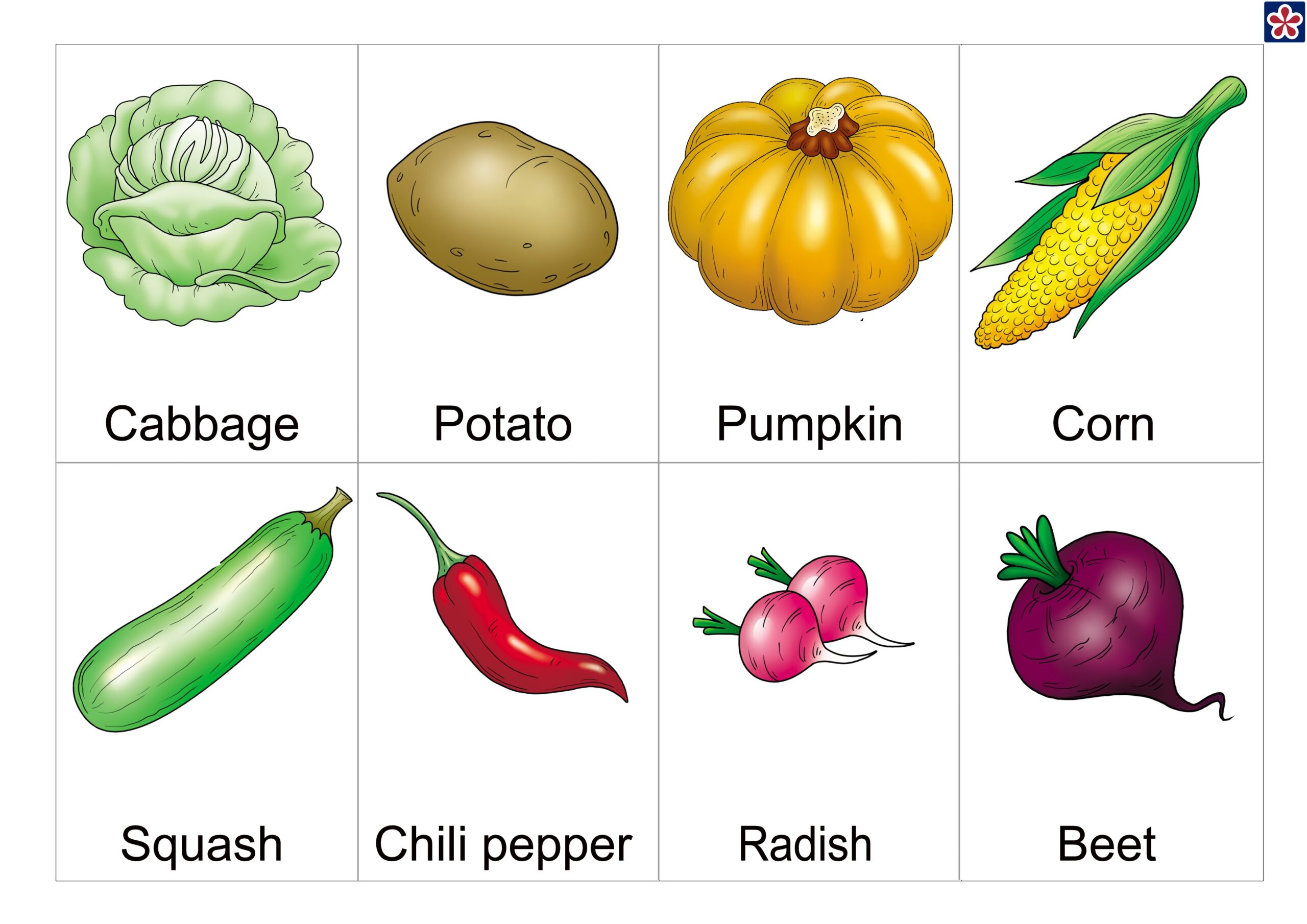Printable Vegetable Flashcards Nature Inspired Learning