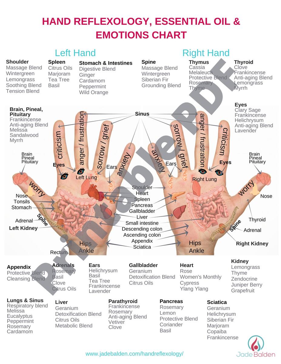 Hand Reflexology Chart PDF Printable Etsy