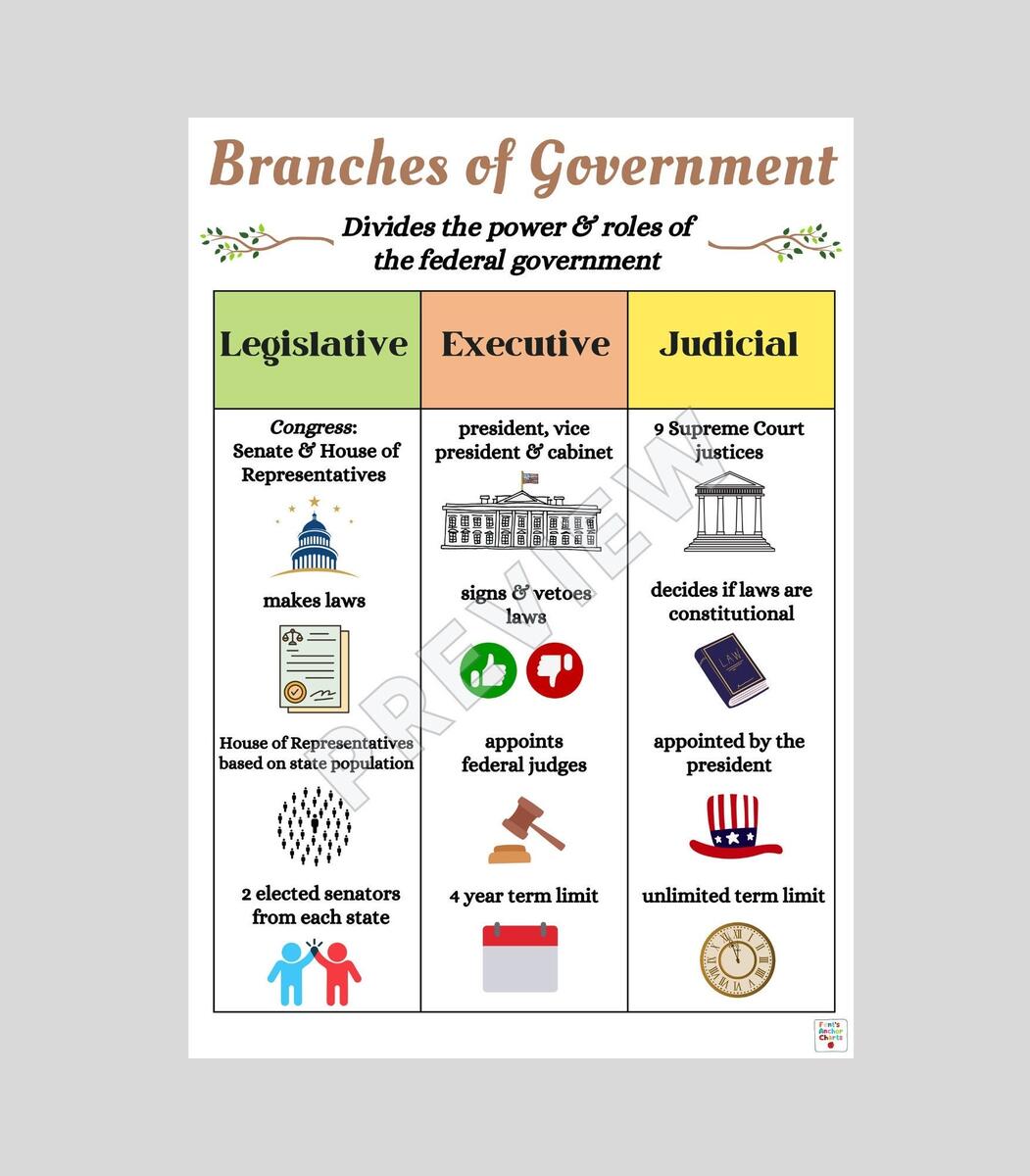 Legislative Executive State Government Judicial Branch Diagram The Constitution And The Three Branches Of Government