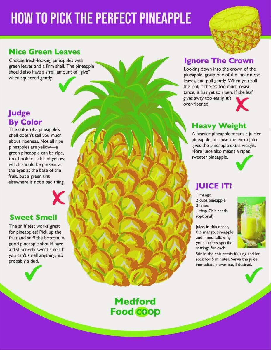 Live Pineapple ly Ever After With Our Printable Infographic We Want To Make Sure You re Doing Just Pine In The Produce Department howto Pineapple pineapplelyeverafter infographic organicproduce perfectpineapple isitripe